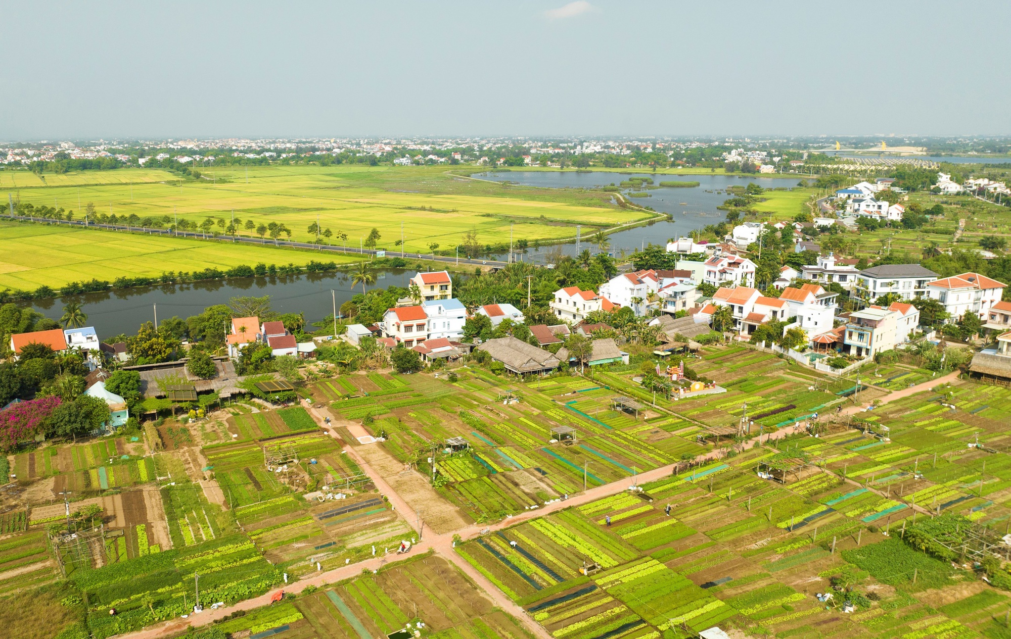 Có gì tại làng rau 400 tuổi ở Hội An vừa trở thành Làng du lịch tốt nhất thế giới?- Ảnh 1.