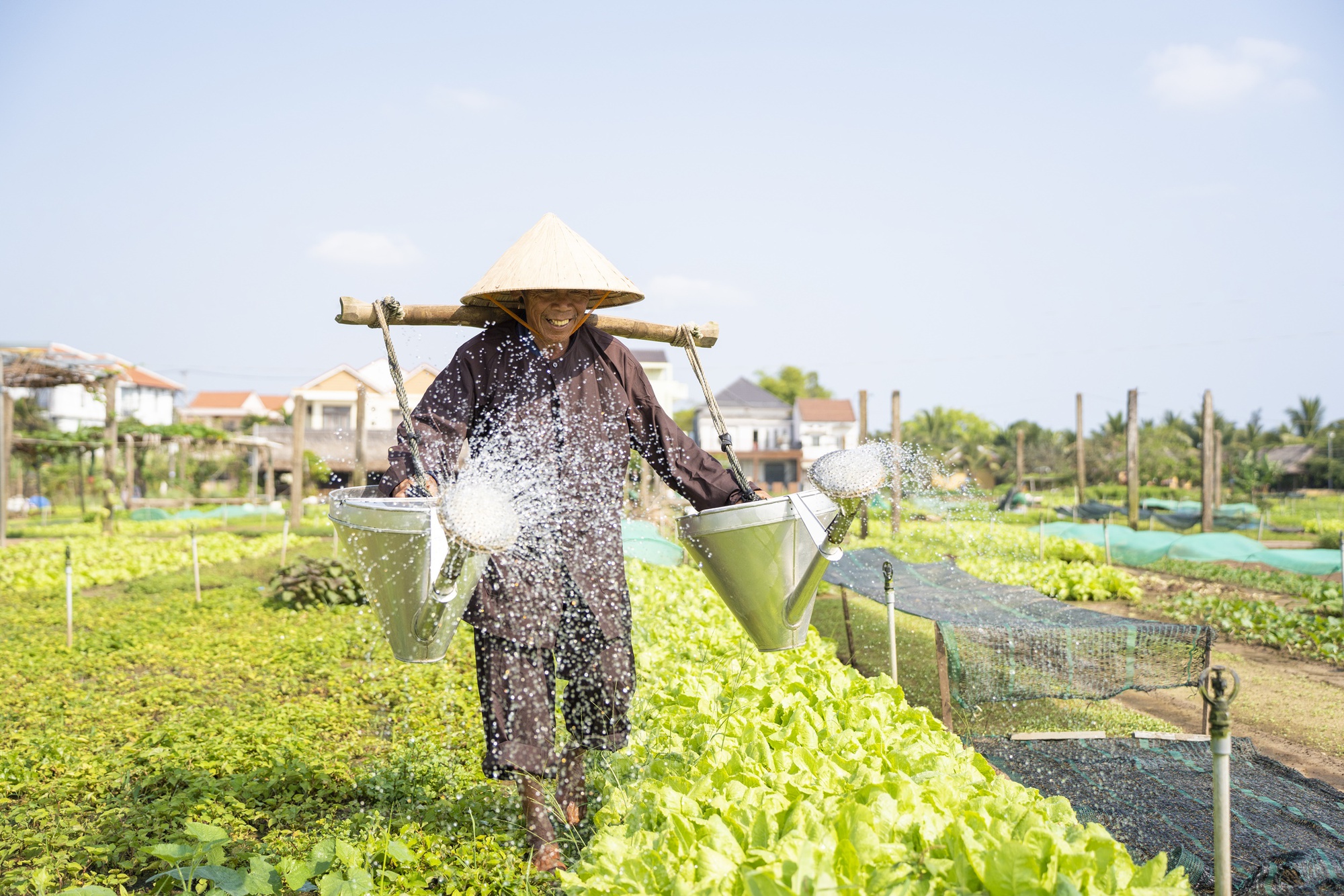 Có gì tại làng rau 400 tuổi ở Hội An vừa trở thành Làng du lịch tốt nhất thế giới?- Ảnh 16.