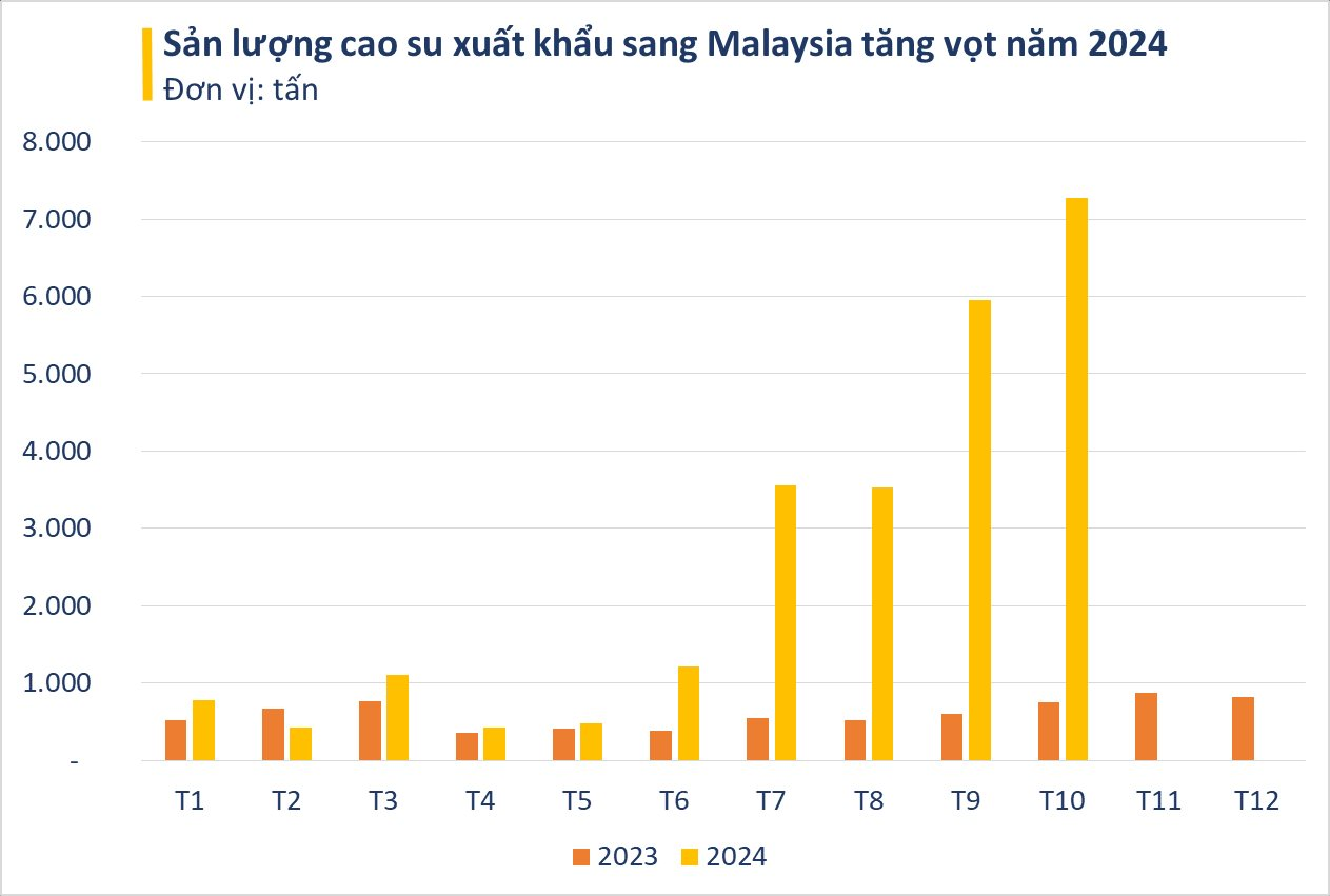 Sản vật tỷ đô của Việt Nam được Malaysia ra sức săn lùng: xuất khẩu tăng vọt hơn 1.000%, 1/3 thế giới đua nhau chốt đơn- Ảnh 2.