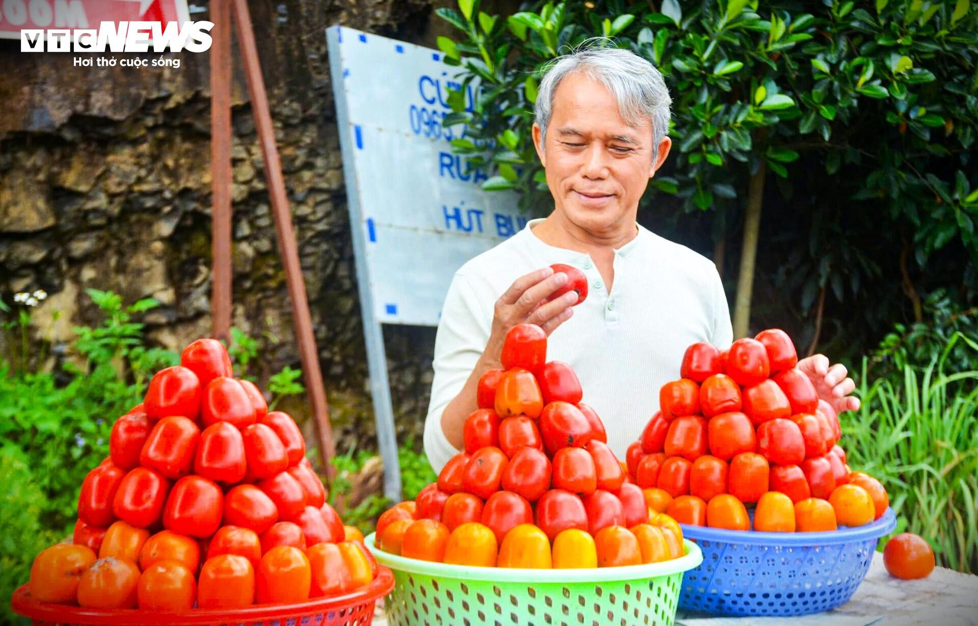 Mê mẩn mùa hồng chín rộ ở xứ sở sương mù Đà Lạt- Ảnh 14.