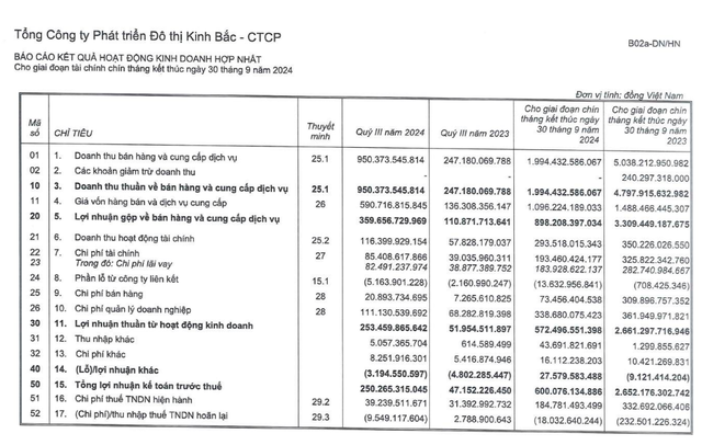 Bắt tay với Tập đoàn Trump làm dự án tỷ USD,  DN của đại gia Đặng Thành Tâm kinh doanh ra sao?- Ảnh 2.