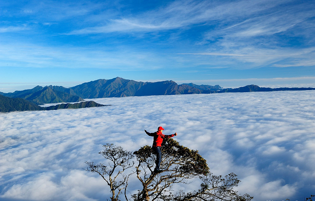 Việt Nam có 1 "ngôi làng trên mây" nằm ở độ cao hơn 2.800m, đẹp ngỡ “chốn bồng lai”, hiện đã vào mùa đẹp nhất: Hút nườm nượp người đến săn mây- Ảnh 5.