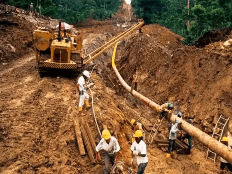 Đào đường, công nhân đụng độ trăn Anaconda khổng lồ có 'khối u' kỳ dị: Không thể tin về thứ nó đã nuốt- Ảnh 1.