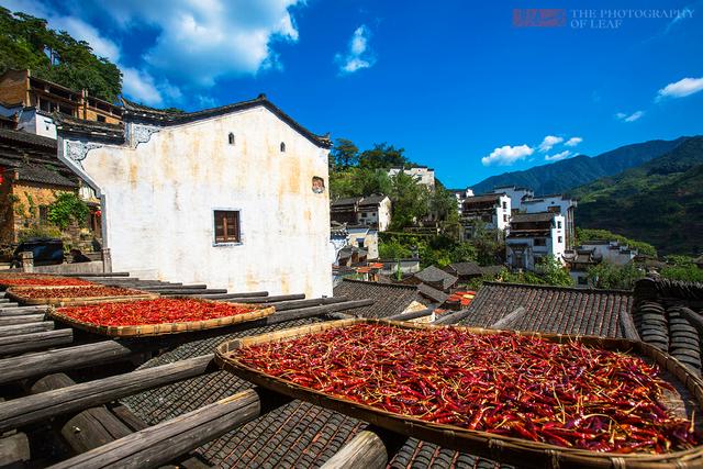 Cứ đến tháng 11, hàng vạn người lại đổ về ngôi làng này chỉ để ngắm hai gam màu đặc biệt- Ảnh 27.