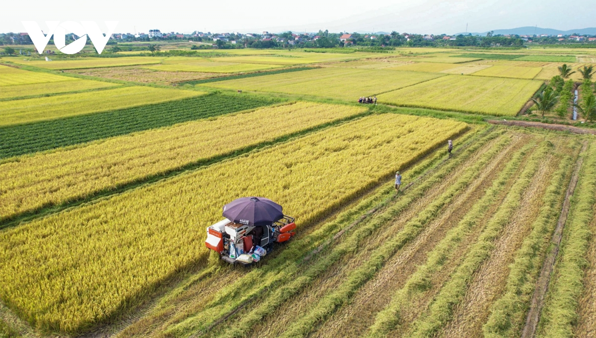 “Làng trong phố”, “phố trong làng” ở thành phố thứ 5 của tỉnh Quảng Ninh- Ảnh 13.