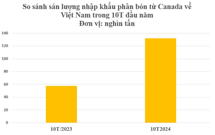 Hàng trăm nghìn tấn báu vật từ Canada đổ bộ Việt Nam với giá rẻ bất ngờ: Chi hàng tỷ USD nhập khẩu, nước ta tiêu thụ 10,4 triệu tấn mỗi năm- Ảnh 3.