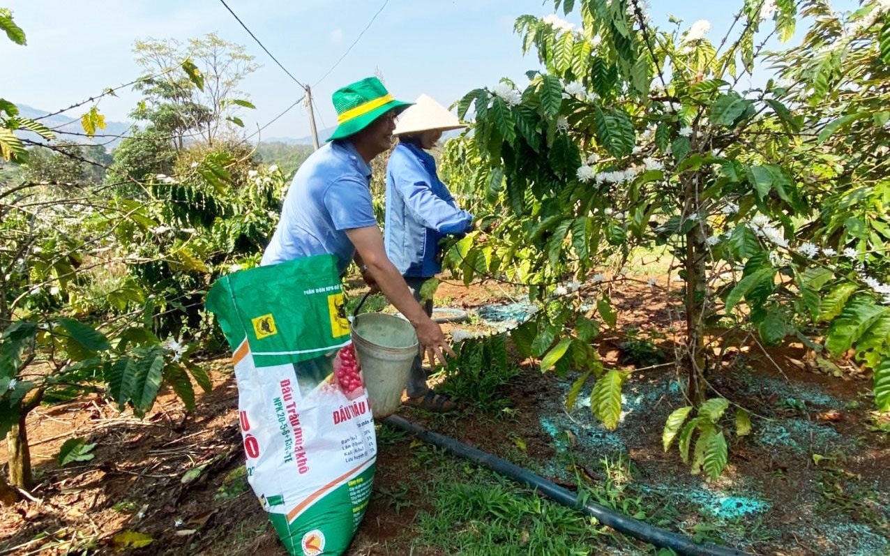 Một ngành sản xuất đứng top đầu thế giới của Việt Nam đang bị xói mòn, đâu là giải pháp để cứu vãn tình thế?- Ảnh 2.