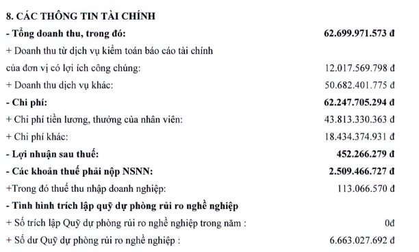 Công ty kiểm toán Novaland chọn thay thế cho PwC: Nhiều kiểm toán viên từng bị đình chỉ tư cách kiểm toán viên- Ảnh 1.