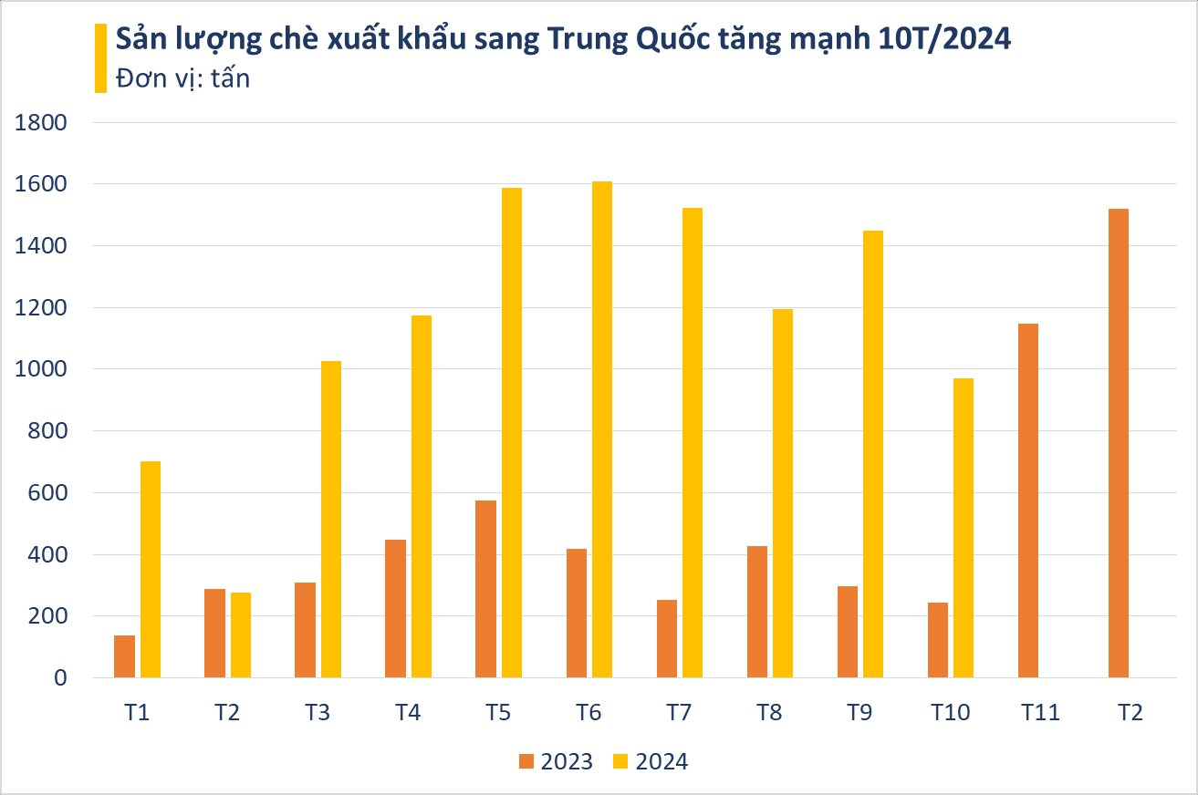 Trung Quốc nhập hàng nghìn tấn 'vàng trên cây' của Việt Nam: diện tích trồng gấp 14 lần, có bao nhiêu mua bấy nhiêu- Ảnh 3.