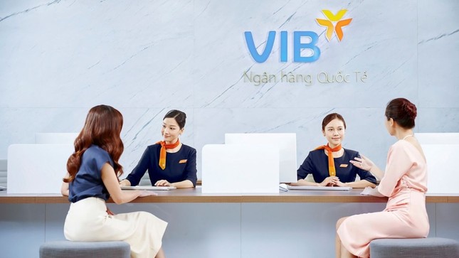 Lãnh đạo ngân hàng và người nhà liên tục mua cổ phiếu VIB- Ảnh 1.