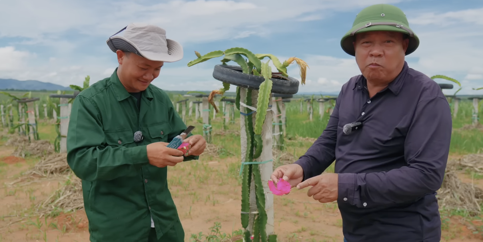 Quang Linh Vlogs trồng thanh long gần 2 năm chỉ mong nhân giống, đến vụ thu hoạch gặp ngay bố Quý và cái kết "cảm lạnh"- Ảnh 2.