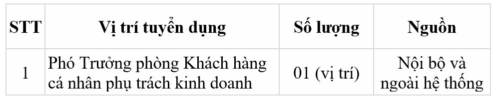 Tuyển dụng nhân sự lãnh đạo cấp phòng tại BIDV chi nhánh Trung tâm Sài Gòn- Ảnh 1.