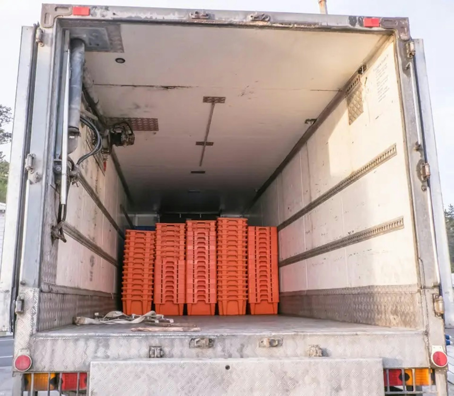 Vụ phát hiện 8 thi thể trong container đông lạnh ở Trung Quốc: Nguyên nhân cuối cùng được công bố- Ảnh 1.