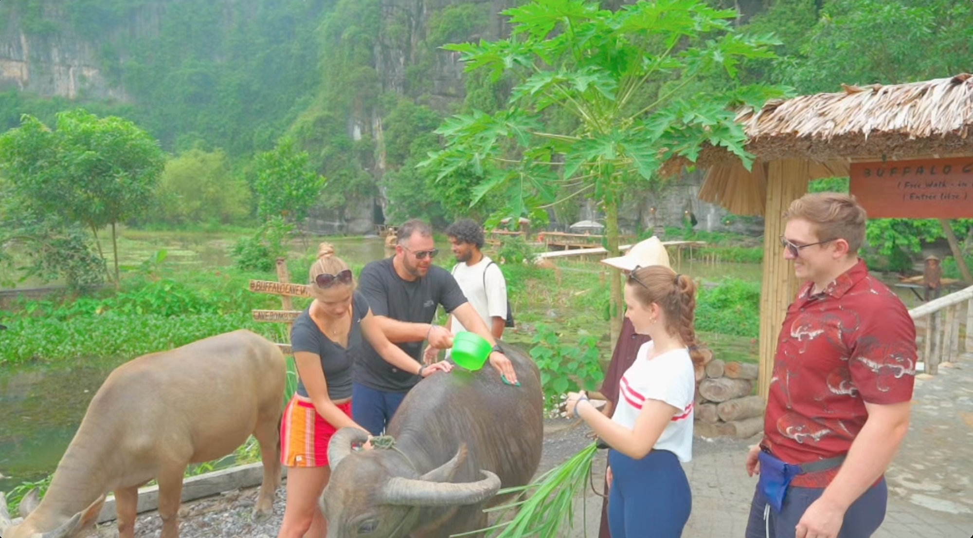 Mua vé đến Việt Nam du lịch nhưng việc mà du khách Tây "phải" làm khiến ai cũng dở khóc dở cười- Ảnh 1.