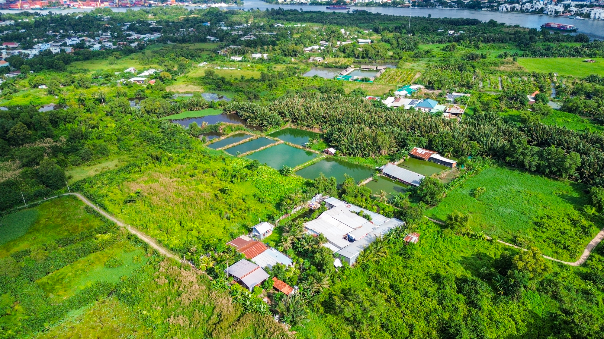 Sớm chốt ý tưởng quy hoạch đột phá để người dân "vùng nông thôn" ngay cạnh quận 1 “đổi vận” sau 30 năm quy hoạch treo- Ảnh 2. Sớm chốt ý tưởng quy hoạch đột phá để người dân "vùng nông thôn" ngay cạnh quận 1 “đổi vận” sau 30 năm quy hoạch treo- Ảnh 2.