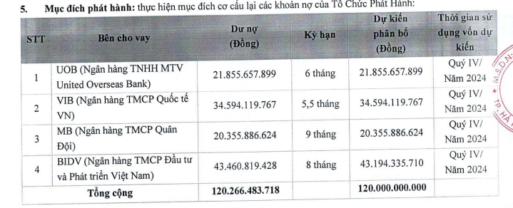 Fecon huy động 120 tỷ đồng trái phiếu để trả nợ ngân hàng- Ảnh 1.