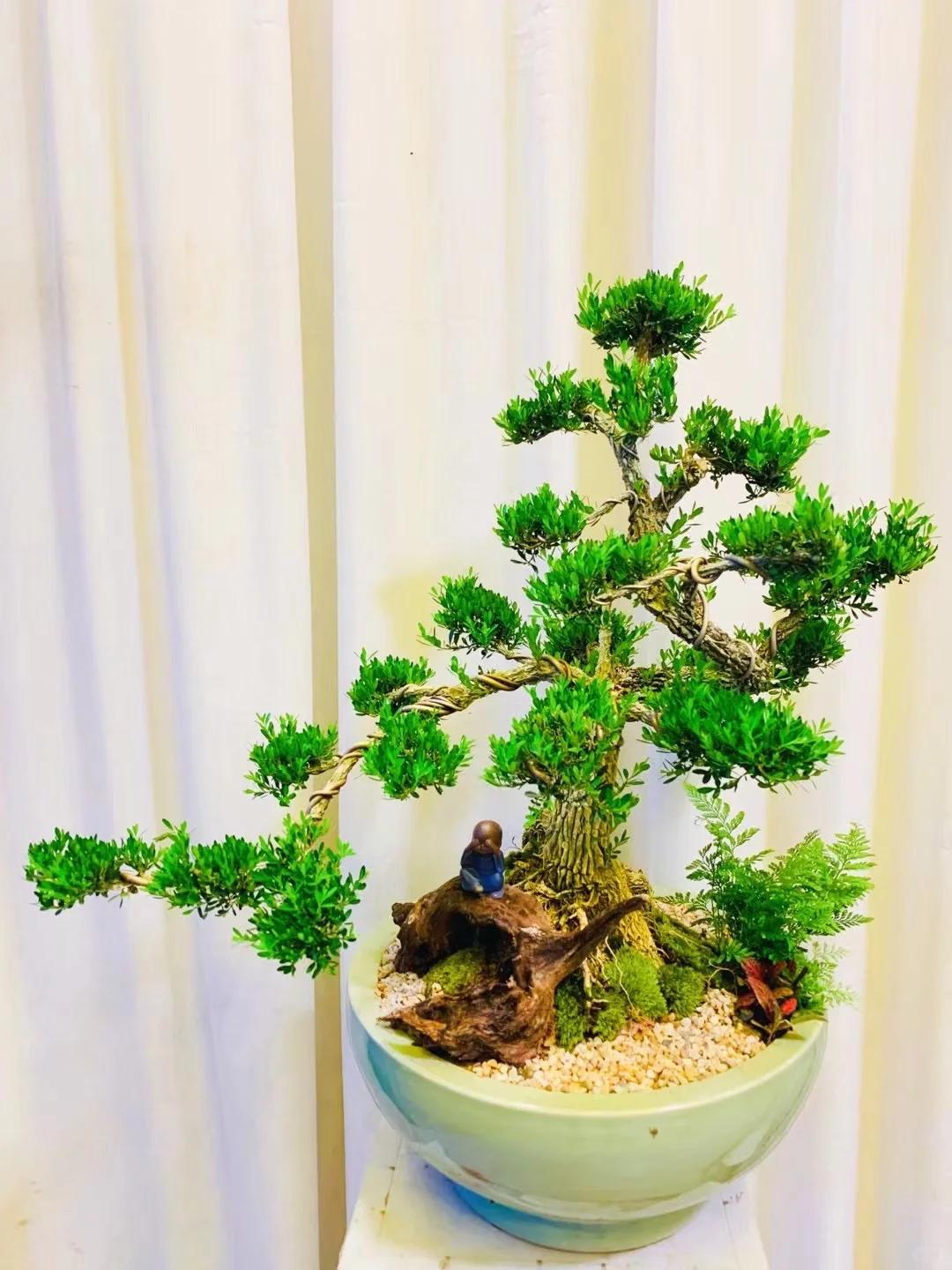 Cổ nhân nói: Cổ nhân nói: