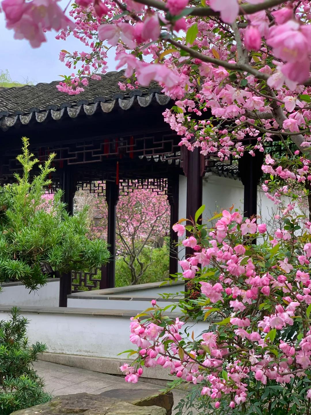 Cổ nhân nói: Cổ nhân nói: