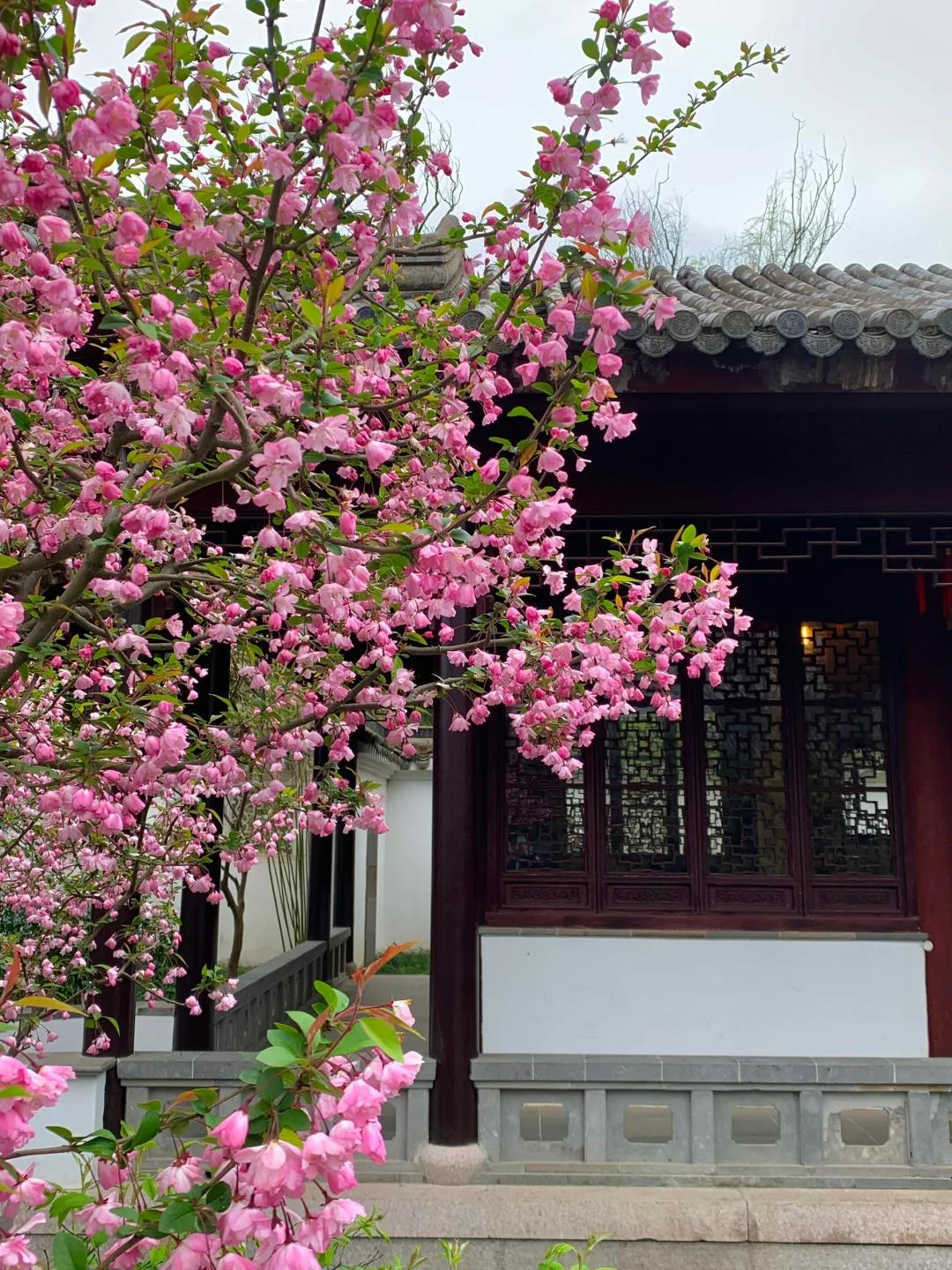 Cổ nhân nói: Cổ nhân nói: