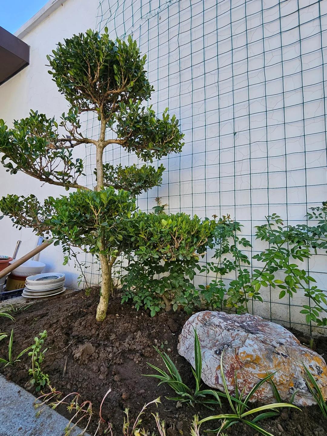Cổ nhân nói: Cổ nhân nói: