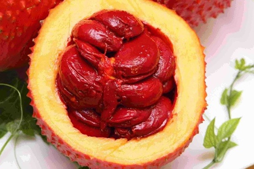 Loại cây mọc nhiều ở Việt Nam, quả được thế giới gọi là "trái cây từ thiên đường": Hóa ra là vị thuốc quý- Ảnh 1. Loại cây mọc nhiều ở Việt Nam, quả được thế giới gọi là "trái cây từ thiên đường": Hóa ra là vị thuốc quý- Ảnh 1.