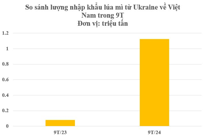 Hàng triệu tấn hàng từ Ukraine đổ bộ Việt Nam trong 9 tháng đầu năm: Việt Nam nhập khẩu top 10 thế giới vì không thể trồng nội địa- Ảnh 3.