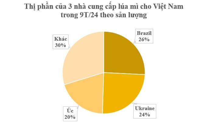 Hàng triệu tấn hàng từ Ukraine đổ bộ Việt Nam trong 9 tháng đầu năm: Việt Nam nhập khẩu top 10 thế giới vì không thể trồng nội địa- Ảnh 2.