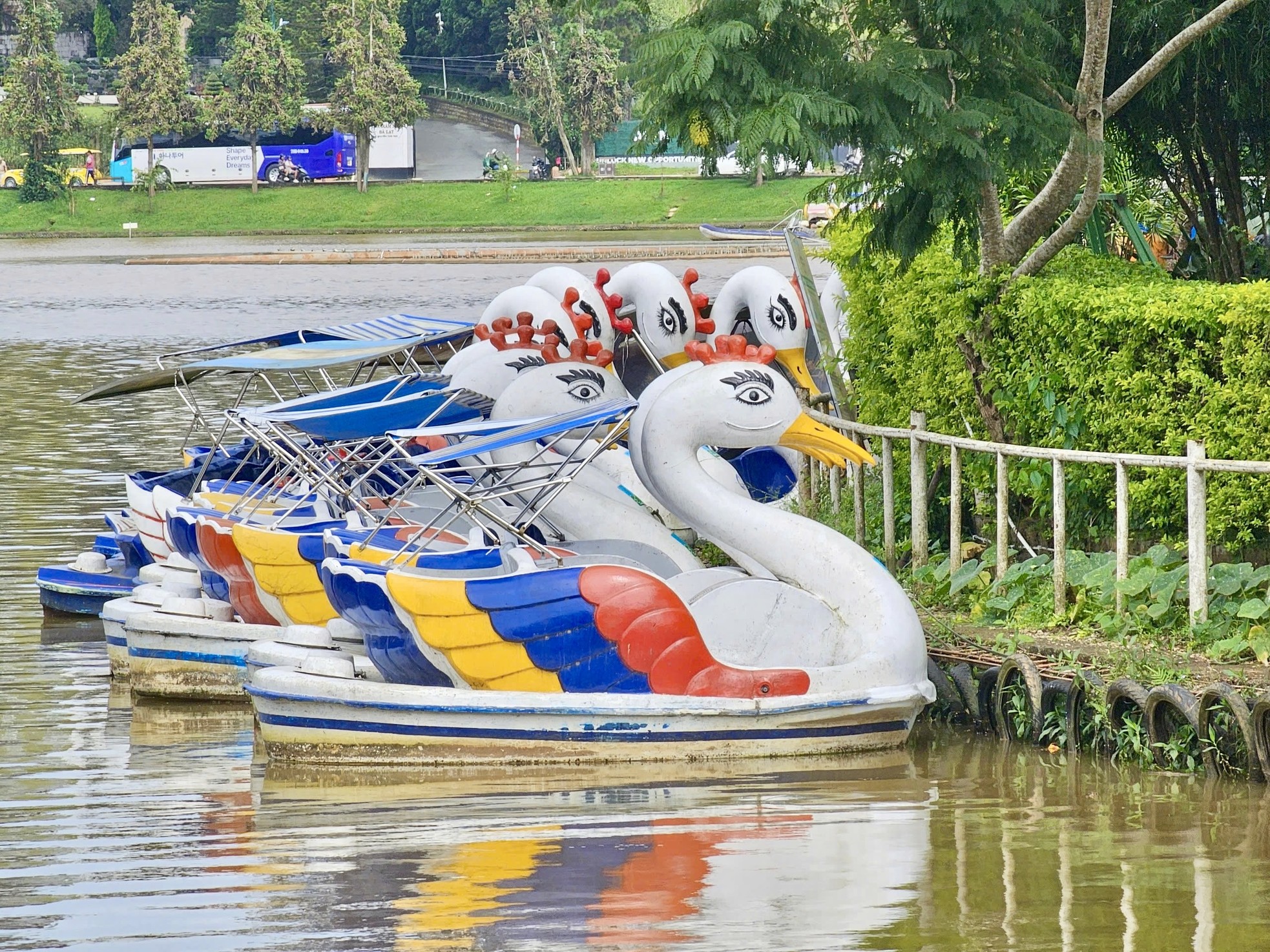 Chấm dứt hoạt động đạp vịt ở Đà Lạt, gần 100 chiếc thuyền 'phơi nắng, dầm mưa'- Ảnh 7.