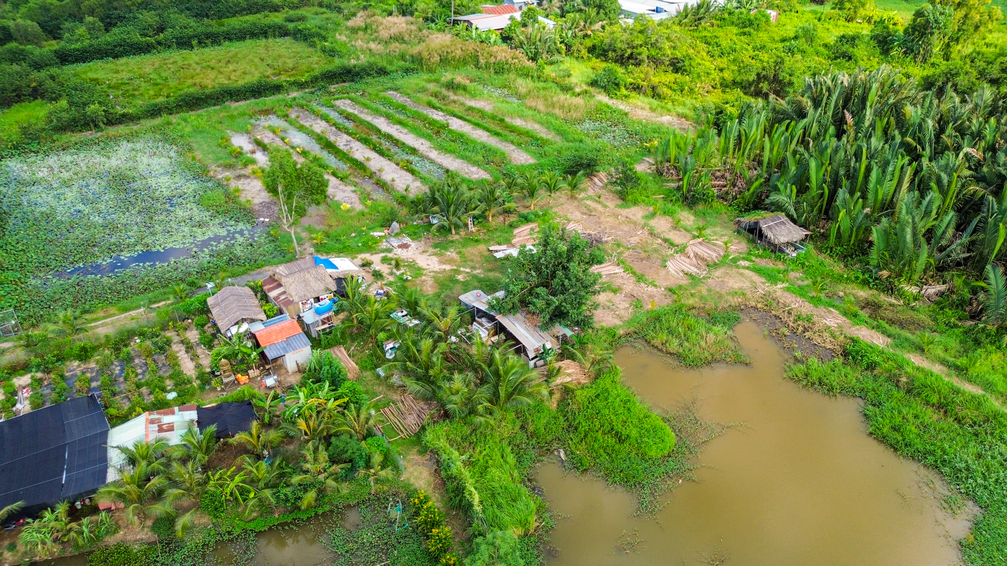 Sớm chốt ý tưởng quy hoạch đột phá để người dân "vùng nông thôn" ngay cạnh quận 1 “đổi vận” sau 30 năm quy hoạch treo- Ảnh 2.