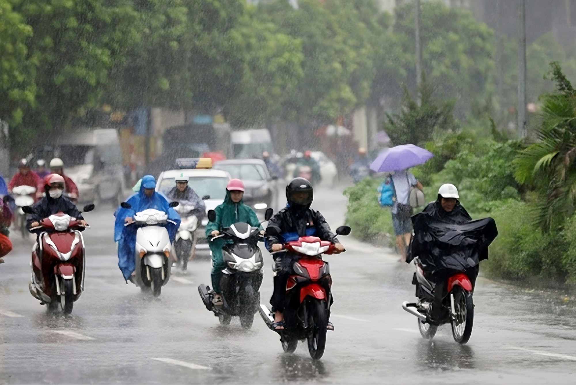 Nhiều nơi bắt đầu mưa rất to, sẽ kéo dài 3 ngày liên tiếp- Ảnh 1.