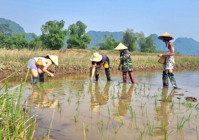 Ngạc nhiên hình ảnh khách Tây đi làm phụ hồ, cấy lúa- Ảnh 3.