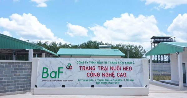 BAF của ông Trương Sỹ Bá vừa thâu tóm loạt doanh nghiệp chăn nuôi tại Quảng Trị