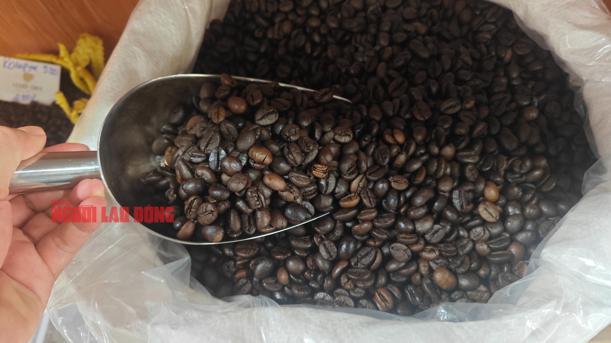 Coffee prices increased by 4.5 million VND after Mr. Trump's victory - Photo 1.