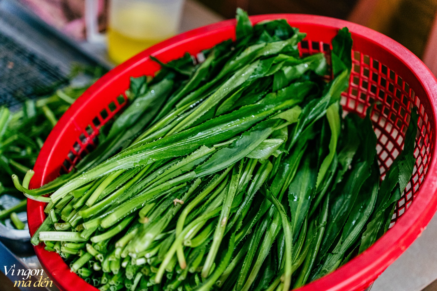 Quán bún chả "Ông bà già" bán 3 đời ở Hà Nội, nổi tiếng nhờ những miếng chả băm cuốn lá mùi tàu đặc biệt hiếm nơi có
- Ảnh 8.