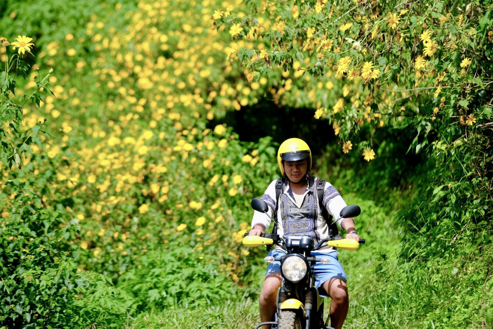 Hoa dã quỳ nở rộ, cao nguyên Lâm Đồng đẹp như trong tranh- Ảnh 10.