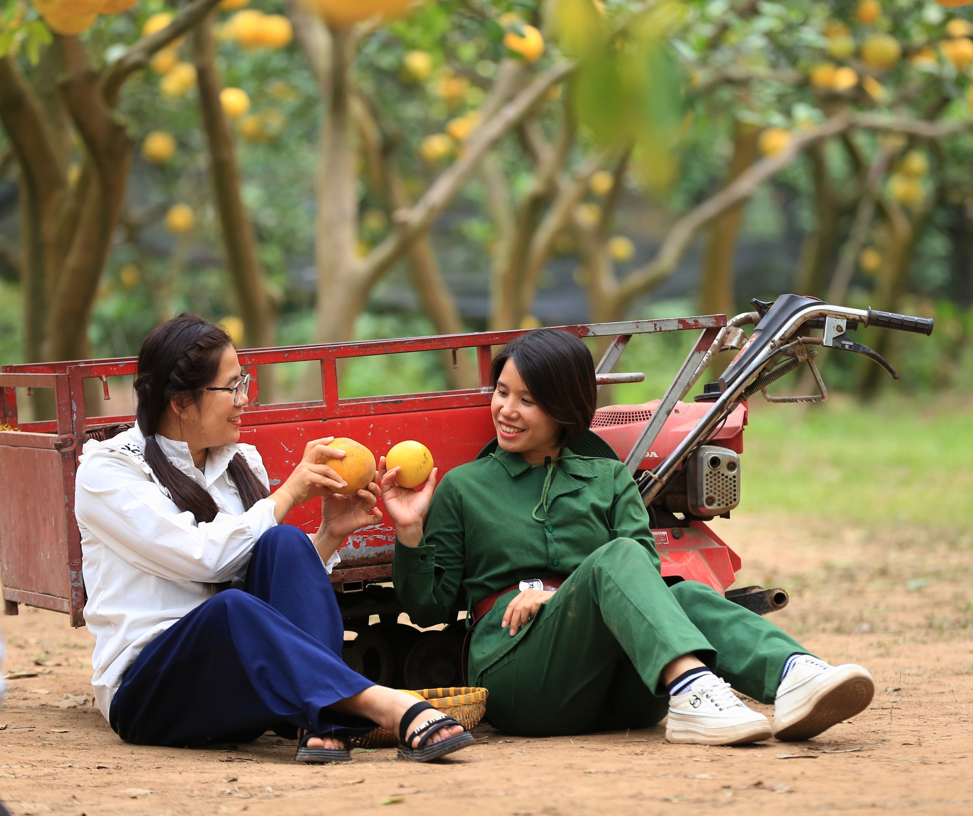 Nhiều du khách mặc áo dài, vượt hàng trăm cây số đến chụp ảnh ở vườn bưởi Diễn 2.000 gốc tại Hà Nội, chỉ biết thốt lên 1 điều- Ảnh 10.