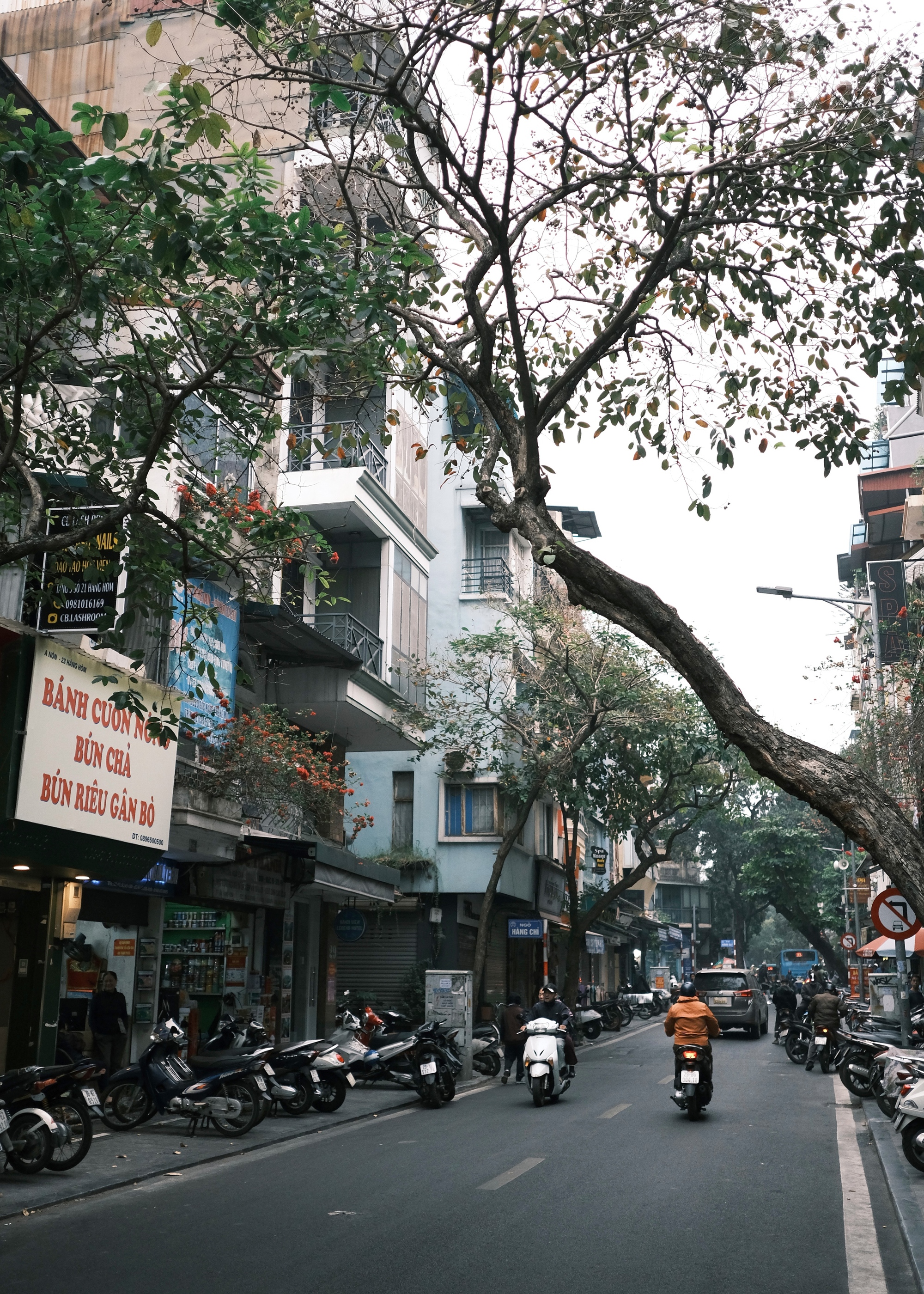 Hà Nội đầu đông, gió lạnh âm u nhưng lại khiến người ta gần nhau nhiều hơn!- Ảnh 4.