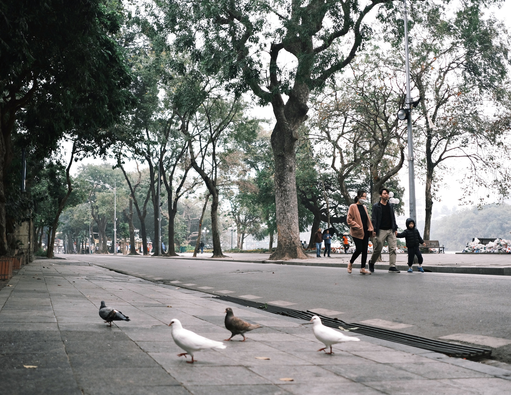 Hà Nội đầu đông, gió lạnh âm u nhưng lại khiến người ta gần nhau nhiều hơn!- Ảnh 17.