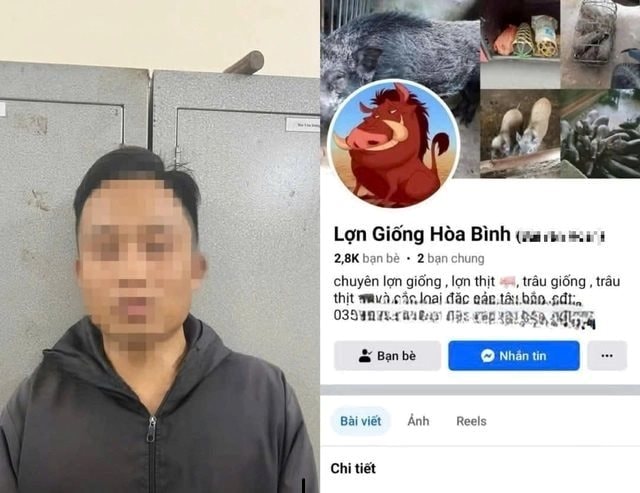 Bắt tạm giam chủ tài khoản Facebook ‘Lợn Giống Hòa Bình’- Ảnh 1.