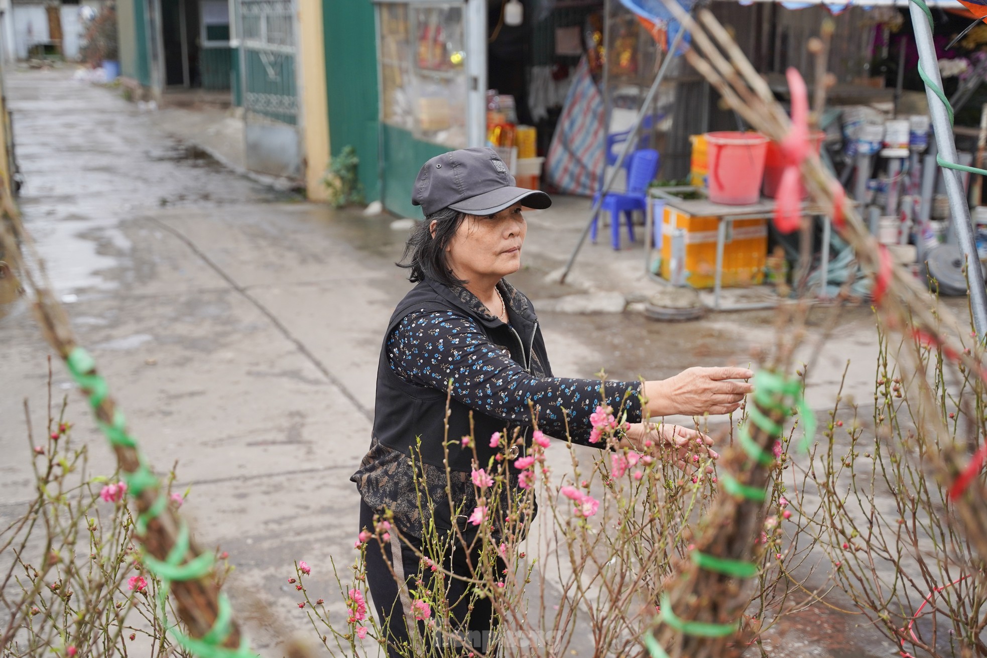 Đào, quất xuống phố mang không khí Tết đến sớm với người dân Thủ đô- Ảnh 9.