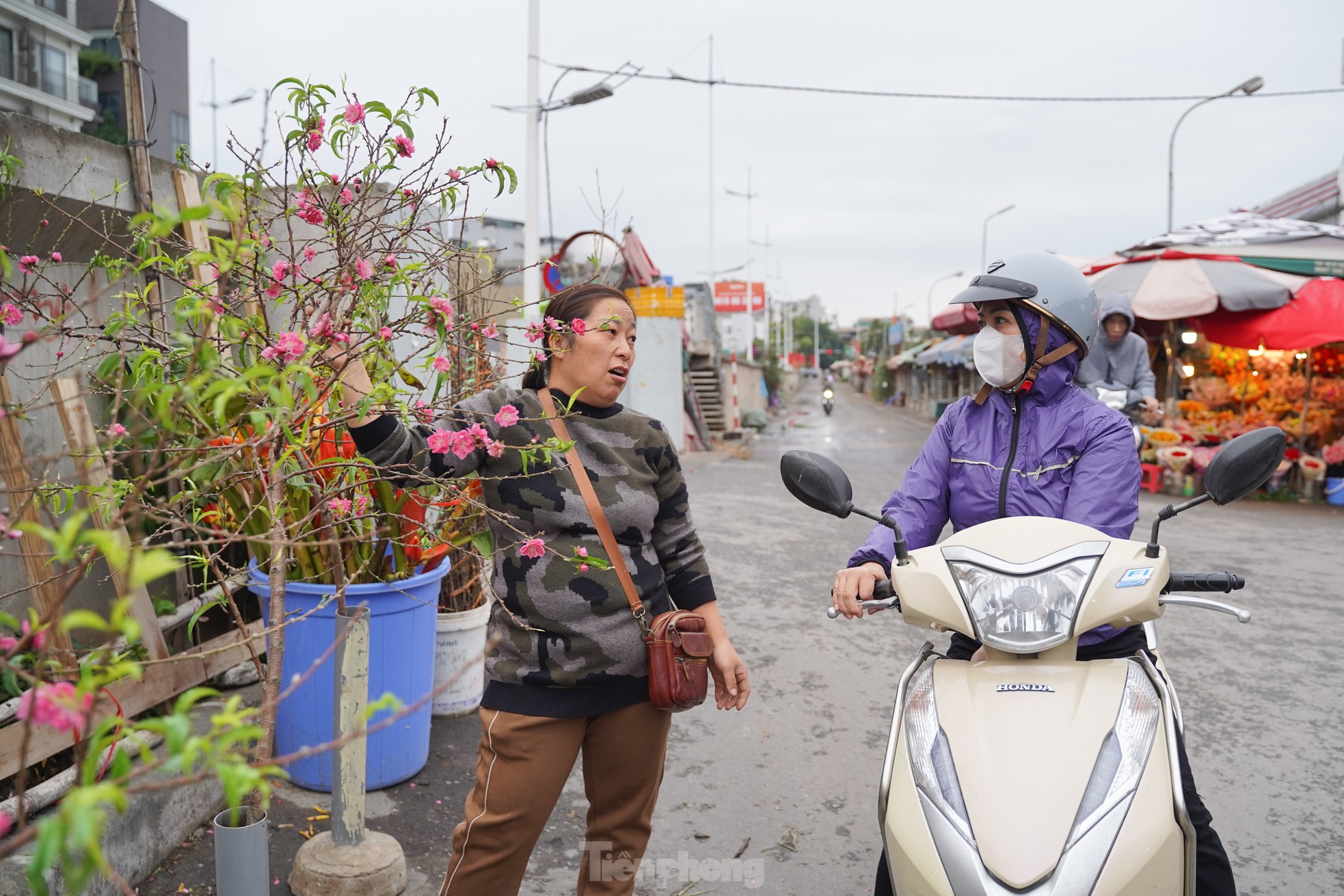 Đào, quất xuống phố mang không khí Tết đến sớm với người dân Thủ đô- Ảnh 7.