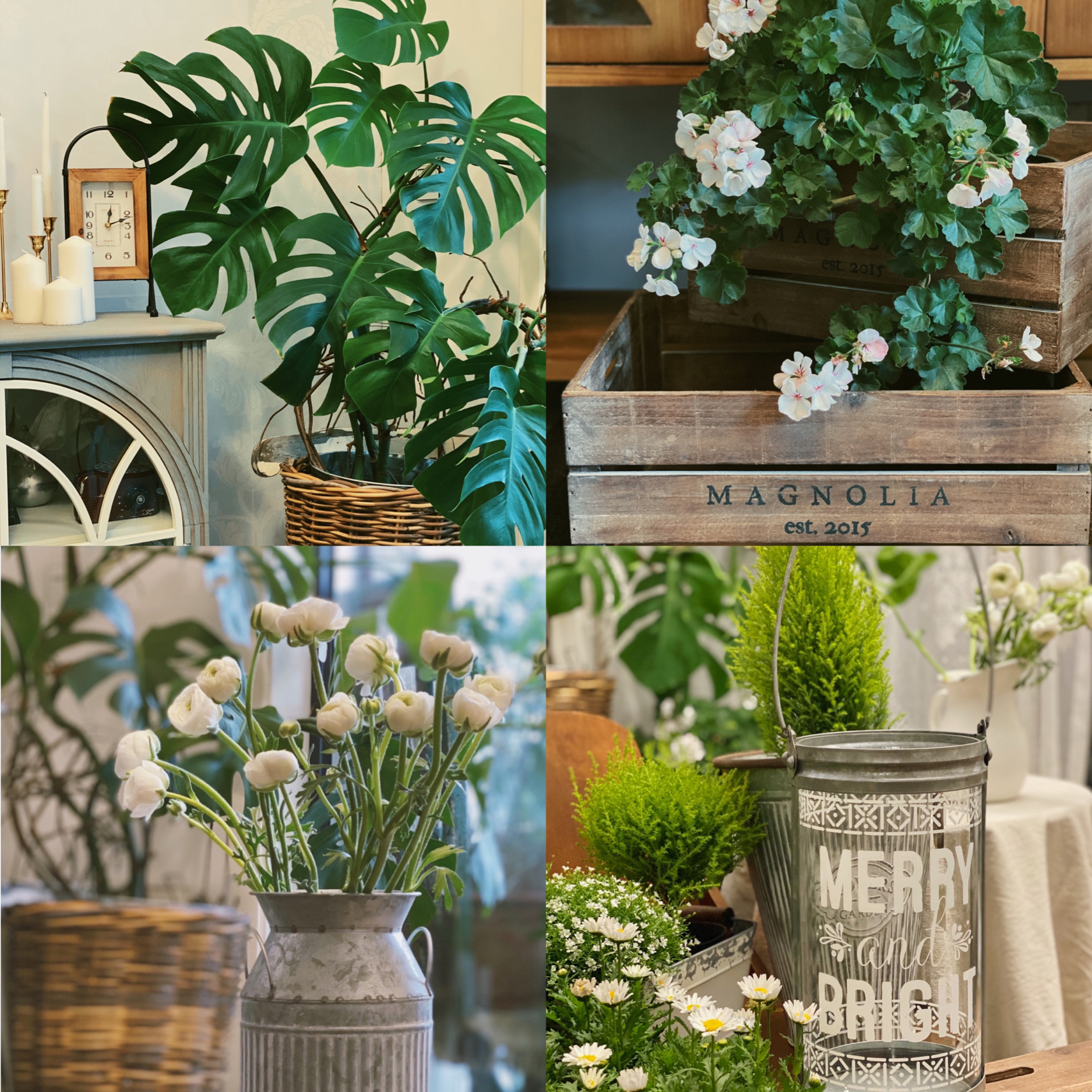 Người phụ nữ trung niên Người phụ nữ trung niên