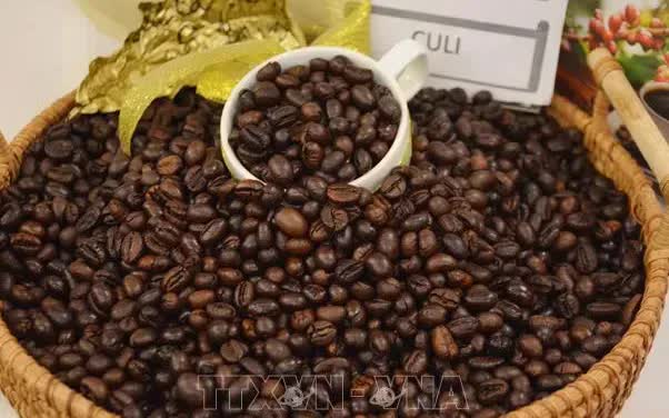 Xuất khẩu cà phê lần đầu có thể vượt 5 tỷ USD- Ảnh 1. Xuất khẩu cà phê lần đầu có thể vượt 5 tỷ USD- Ảnh 1.