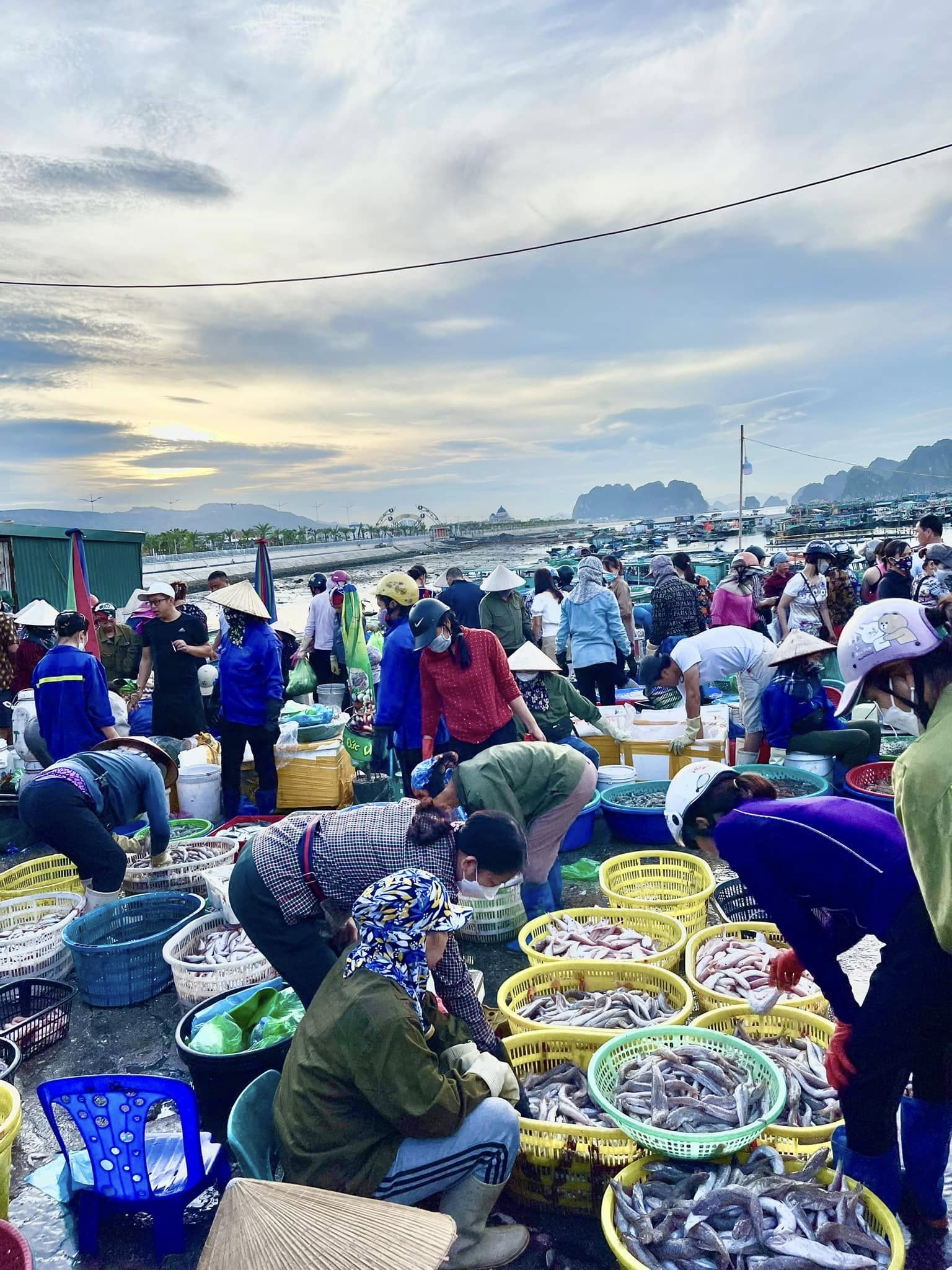 "Sốc" vì giá cả ở quê nhà Hạ Long đắt đỏ, nhưng dù thế nào vẫn yêu Hạ Long vô cùng- Ảnh 2. "Sốc" vì giá cả ở quê nhà Hạ Long đắt đỏ, nhưng dù thế nào vẫn yêu Hạ Long vô cùng- Ảnh 2.