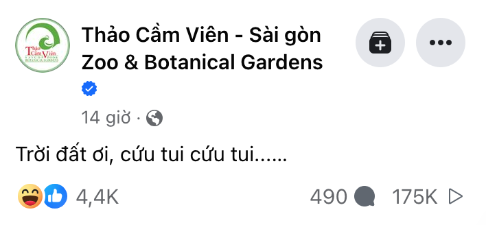 Thảo Cầm Viên cầu cứu vì tiếp tục vướng vào "scandal"- Ảnh 1. Thảo Cầm Viên cầu cứu vì tiếp tục vướng vào "scandal"- Ảnh 1.