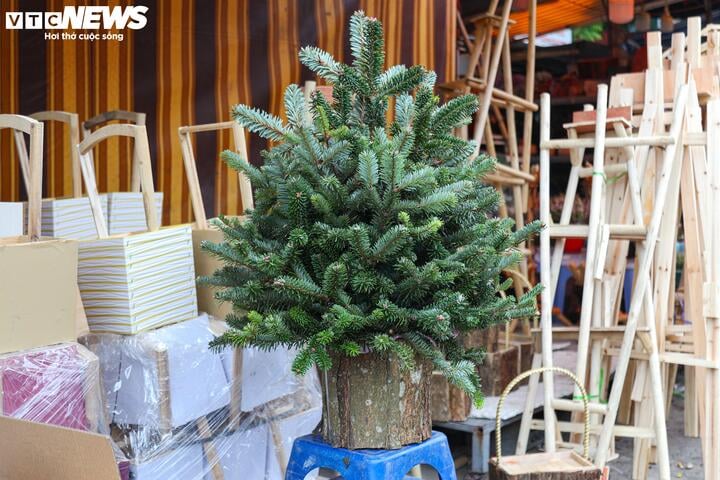 Khách tiết kiệm chi tiêu, tùng, thông tươi mini 'lên ngôi' mùa Noel- Ảnh 15.