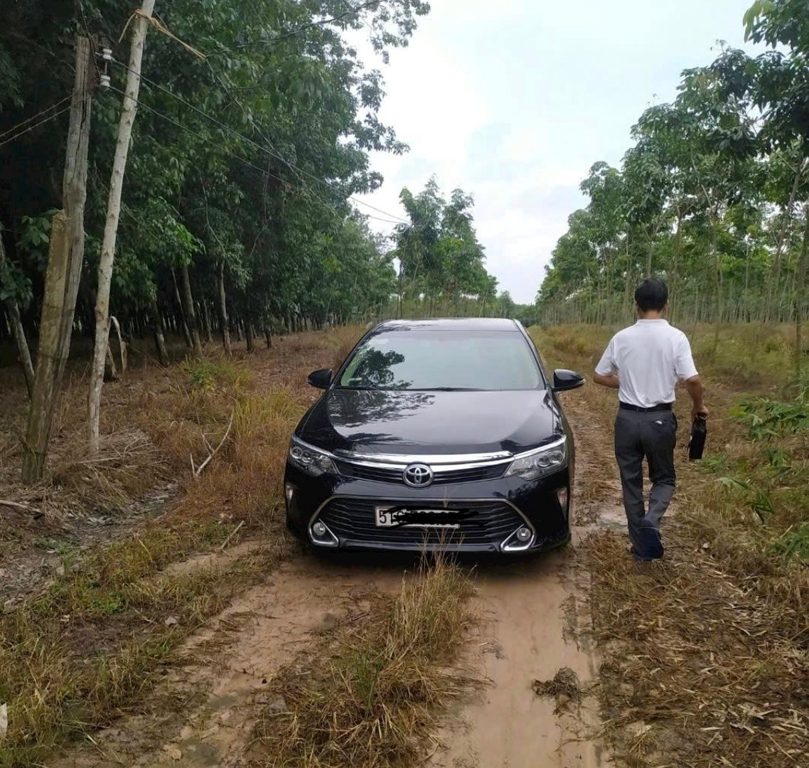 Đất vườn, đất nông nghiệp Củ Chi, Hóc Môn, Cần Giờ diễn biến ra sao cận Tết?- Ảnh 1.