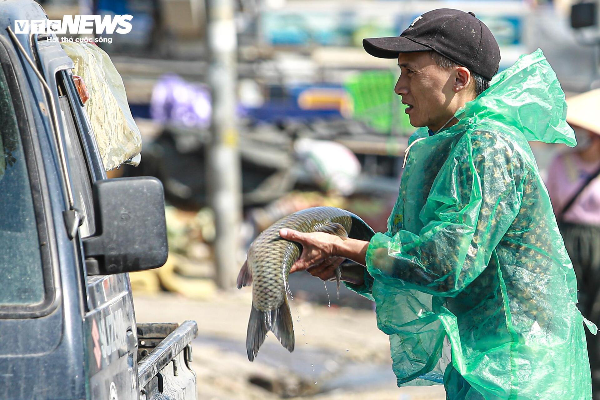 Tiểu thương chợ cá tay trần ngâm nước lạnh, khiêng đá trong ngày rét buốt- Ảnh 13.