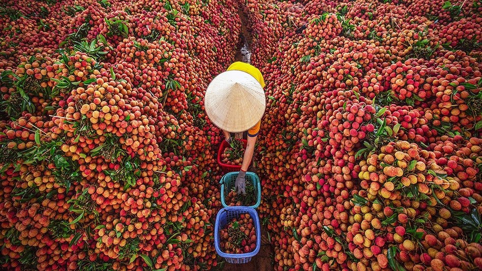 Hơn 10 ngày nữa, sẽ có thị xã tên ngắn nhất Việt Nam- Ảnh 3.