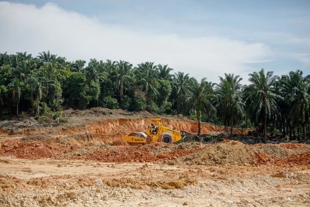 Mầm công nghệ gieo ở Việt Nam đã nở rộ thành “bông hoa tỷ đô”: Giờ chỉ còn chờ 50.000 kỹ sư bán dẫn ra đời- Ảnh 1.